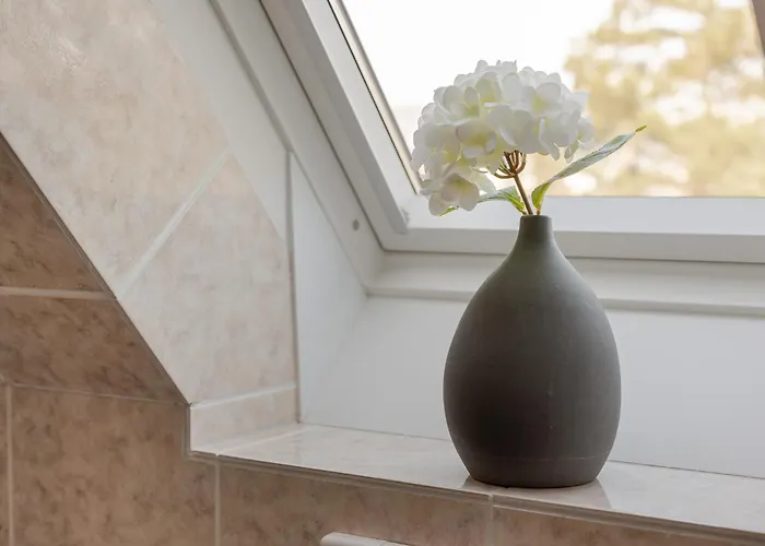 Rehling Hues App 2 *